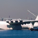 sprucegoose